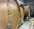 Massif Paysager Frais L Insolite Wine tour La Valette Du Var 2020 Ce Qu Il