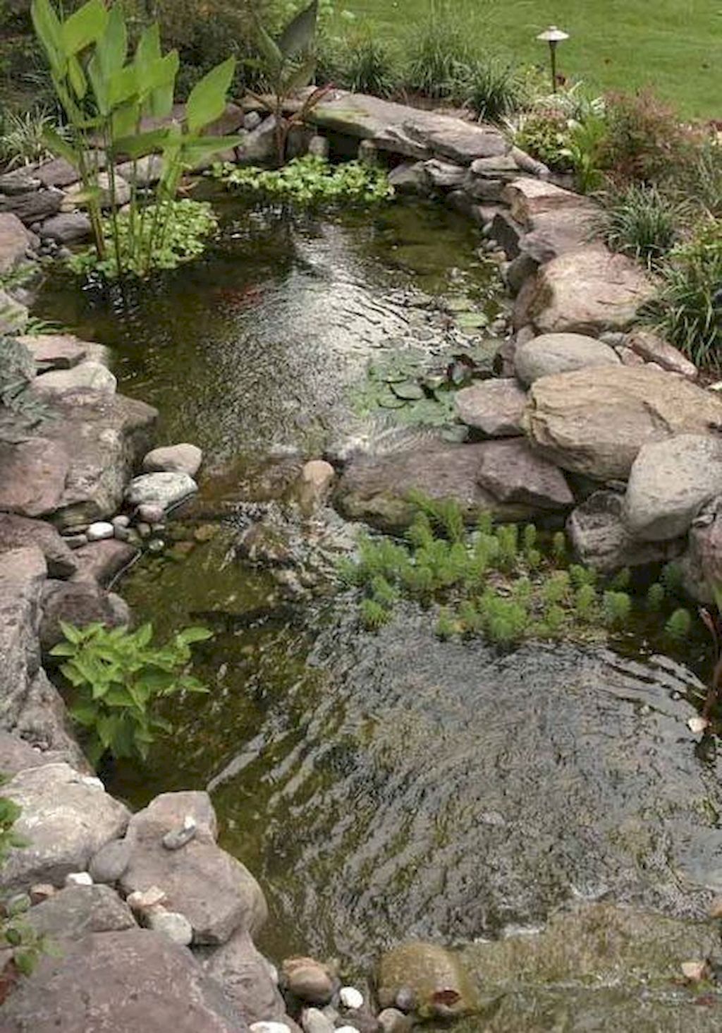 Massif Paysager Inspirant Seasonal Duties for Your Water Backyard Fish Pond