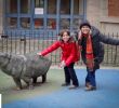 Ménagerie Du Jardin Des Plantes Élégant Do Rs Para O Mundo Julho 2015