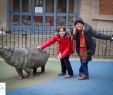 Ménagerie Du Jardin Des Plantes Élégant Do Rs Para O Mundo Julho 2015