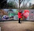 Ménagerie Du Jardin Des Plantes Élégant Do Rs Para O Mundo Julho 2015