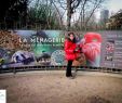 Ménagerie Du Jardin Des Plantes Élégant Do Rs Para O Mundo Julho 2015