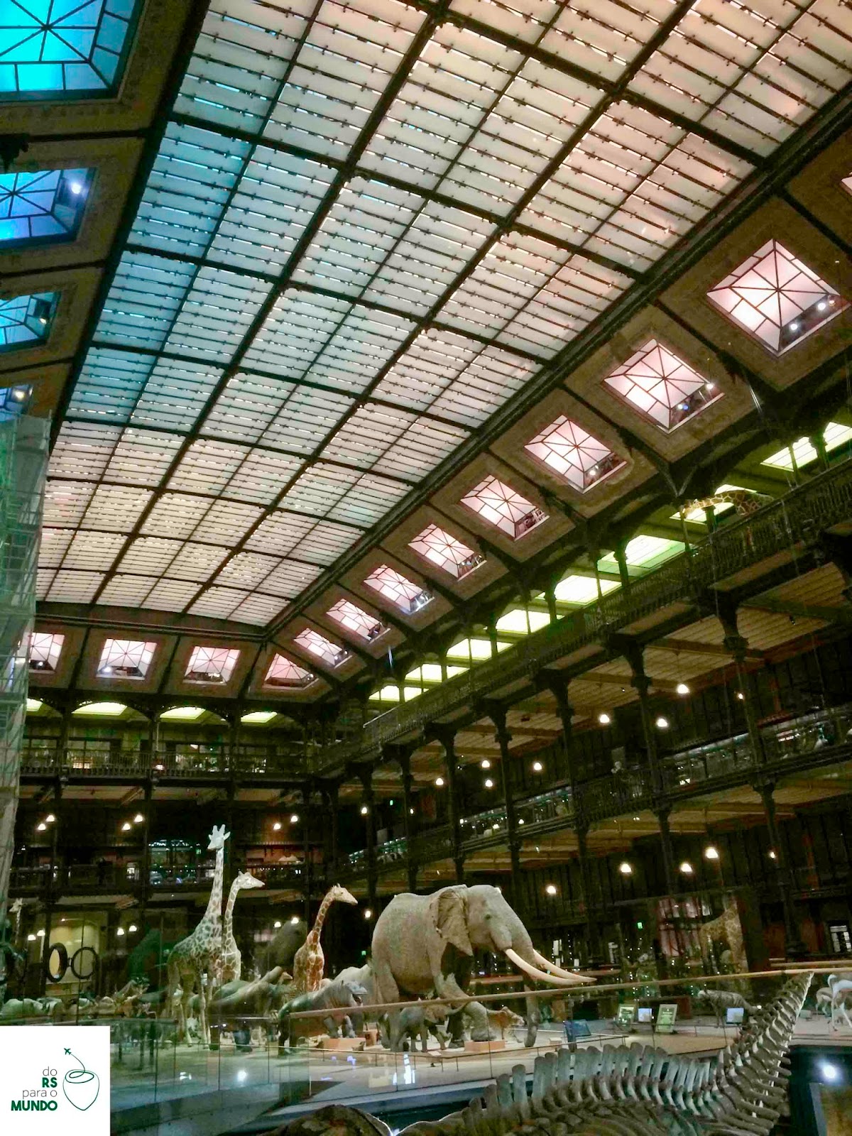 0472 La Grand Galerie de la Evolution