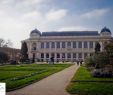 Ménagerie Du Jardin Des Plantes Nouveau Do Rs Para O Mundo Julho 2015