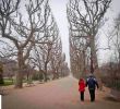 Ménagerie Du Jardin Des Plantes Unique Do Rs Para O Mundo Julho 2015