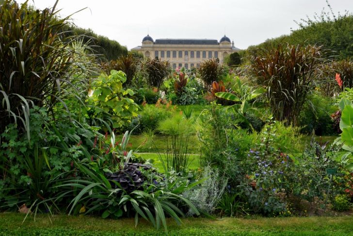 Ménagerie Du Jardin Des Plantes Unique Jardin Des Plantes Zoo – Parrocchiaboarapisani