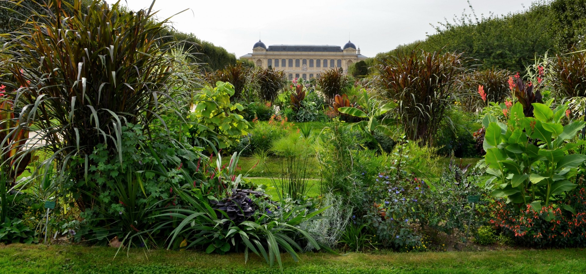 Ménagerie Du Jardin Des Plantes Unique Jardin Des Plantes Zoo – Parrocchiaboarapisani