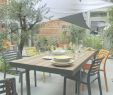 Meuble Jardin Palette Inspirant sove Salon De Jardin Bas — sovedis Aquatabs