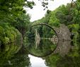 Modele De Jardin Beau Parc D Azalées Et De Rhododendrons De Kromlau — Wikipédia