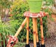 Modele De Jardin Génial 22 Mod¨les D Animaux   Bricoler En Pot De Terre Cuite Pour