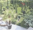 Modele Jardin Best Of Chaux Gazon Leroy Merlin – Gamboahinestrosa