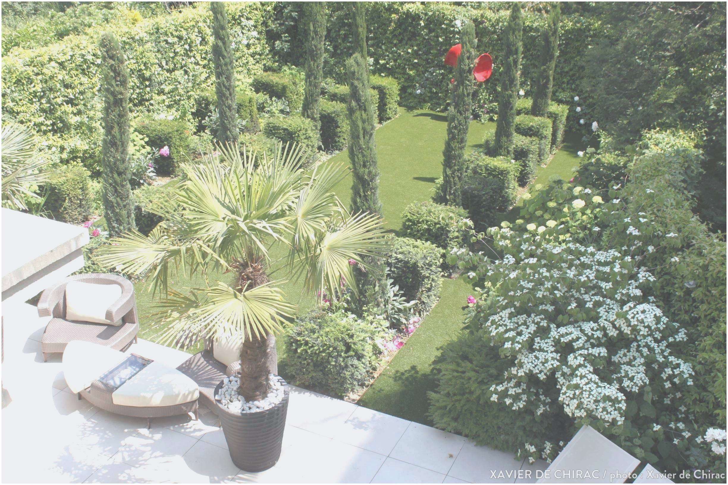 Modele Jardin Best Of Chaux Gazon Leroy Merlin – Gamboahinestrosa