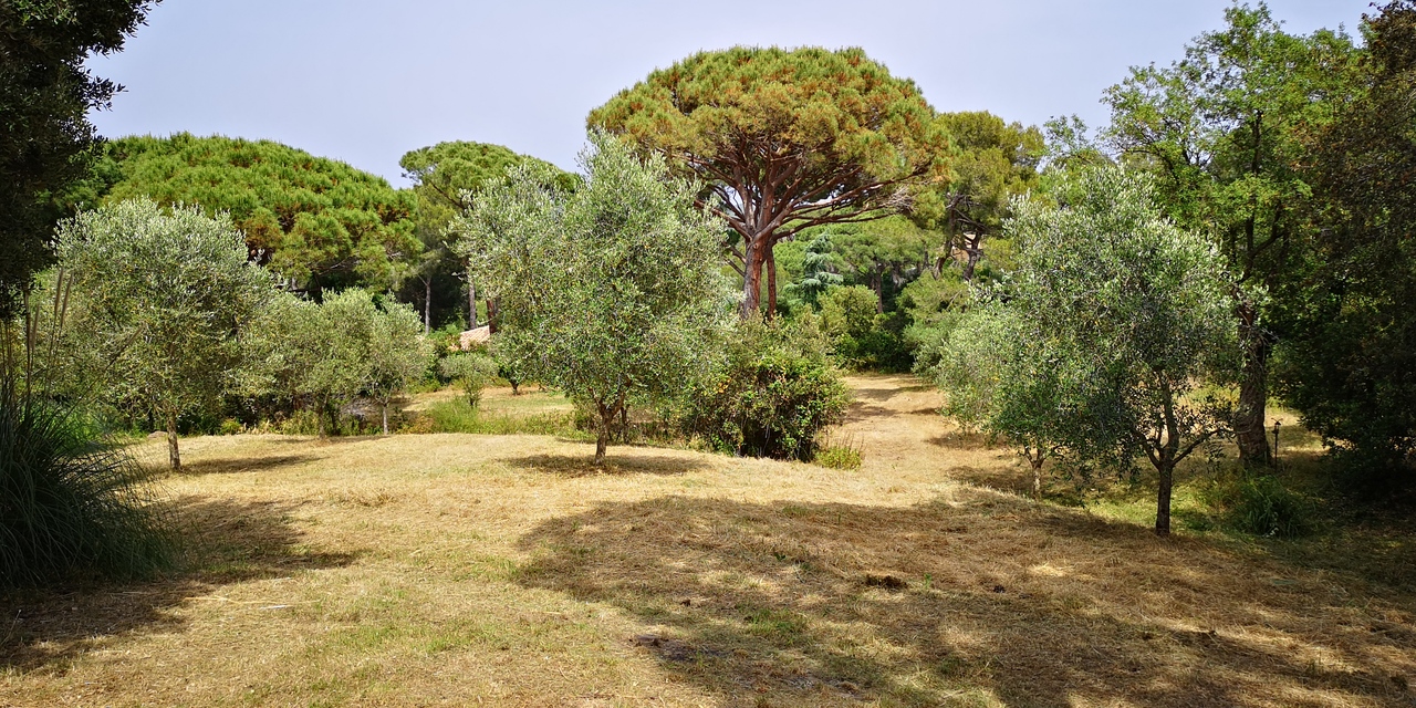 Aménagement Jaune Vert