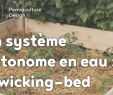 Mon Jardin En Permaculture Beau 132 Best Permaculture Images