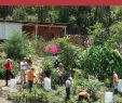 Mon Jardin En Permaculture Beau where People and their Land are Safer A Pendium Of Good