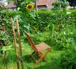 Mon Jardin En Permaculture Best Of Permaculture Wikiwand