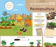 Mon Jardin En Permaculture Frais Le Calendrier 2020 De La Permaculture Calendrier Jardin