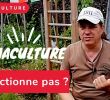 Mon Jardin En Permaculture Génial La Permaculture §a Ne Fonctionne Pas