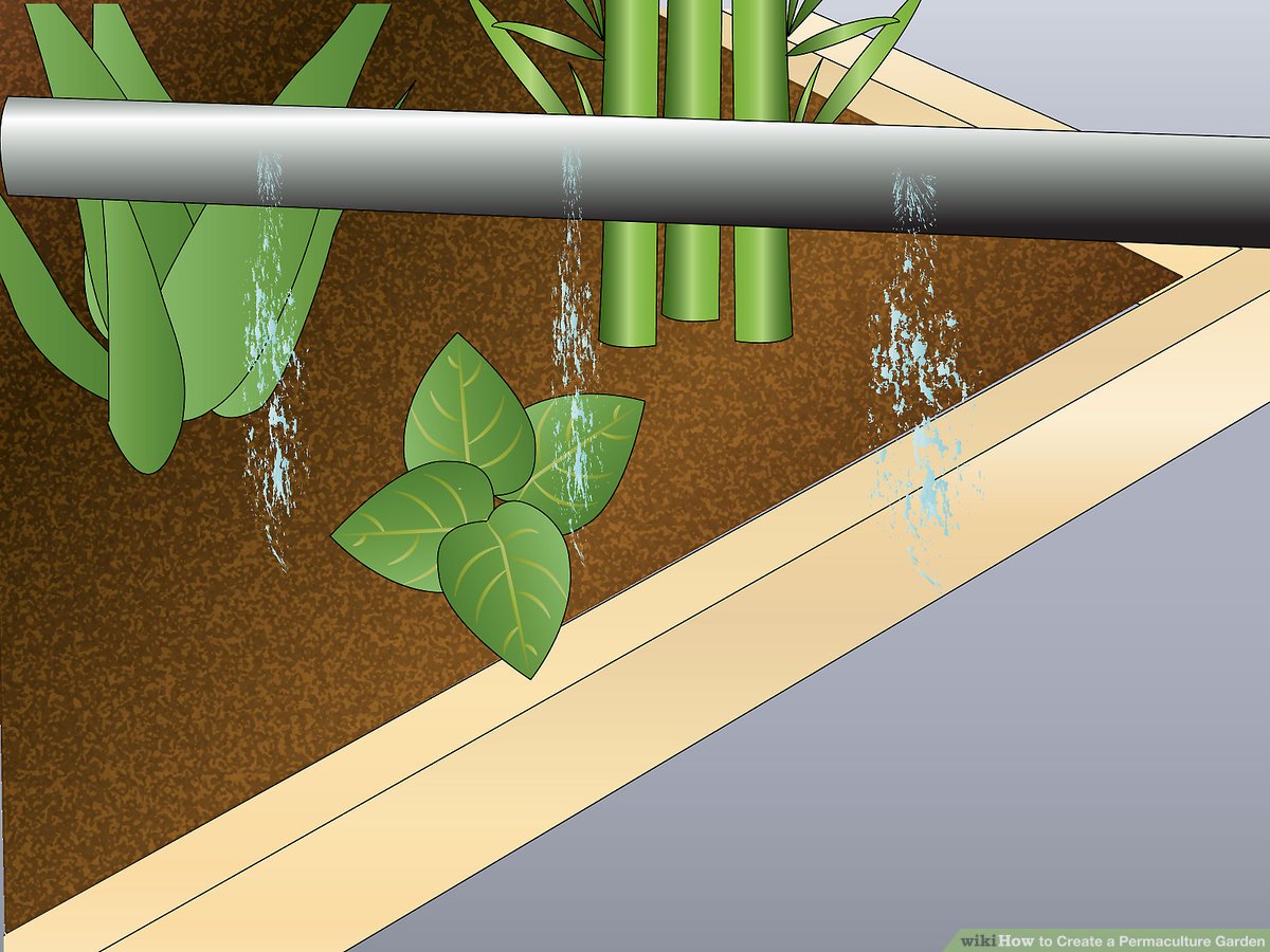 Mon Jardin En Permaculture Inspirant How to Create A Permaculture Garden 10 Steps with