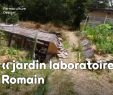 Mon Jardin En Permaculture Inspirant Un Permaculteur Un Jardin Les Expérimentations De Romain Dans son Jardin Labo