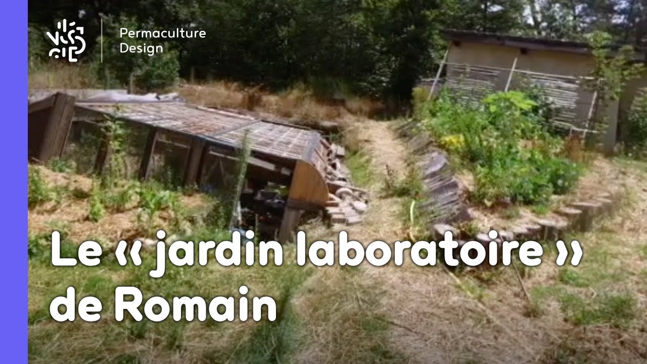 Mon Jardin En Permaculture Inspirant Un Permaculteur Un Jardin Les Expérimentations De Romain Dans son Jardin Labo