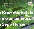 Mon Jardin En Permaculture Unique Le Krameterhof La Ferme En Permaculture De Sepp Holzer