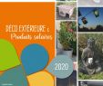 Mouvement Citoyen Alexandre Jardin Charmant Calaméo Catalogue Jardin 2020