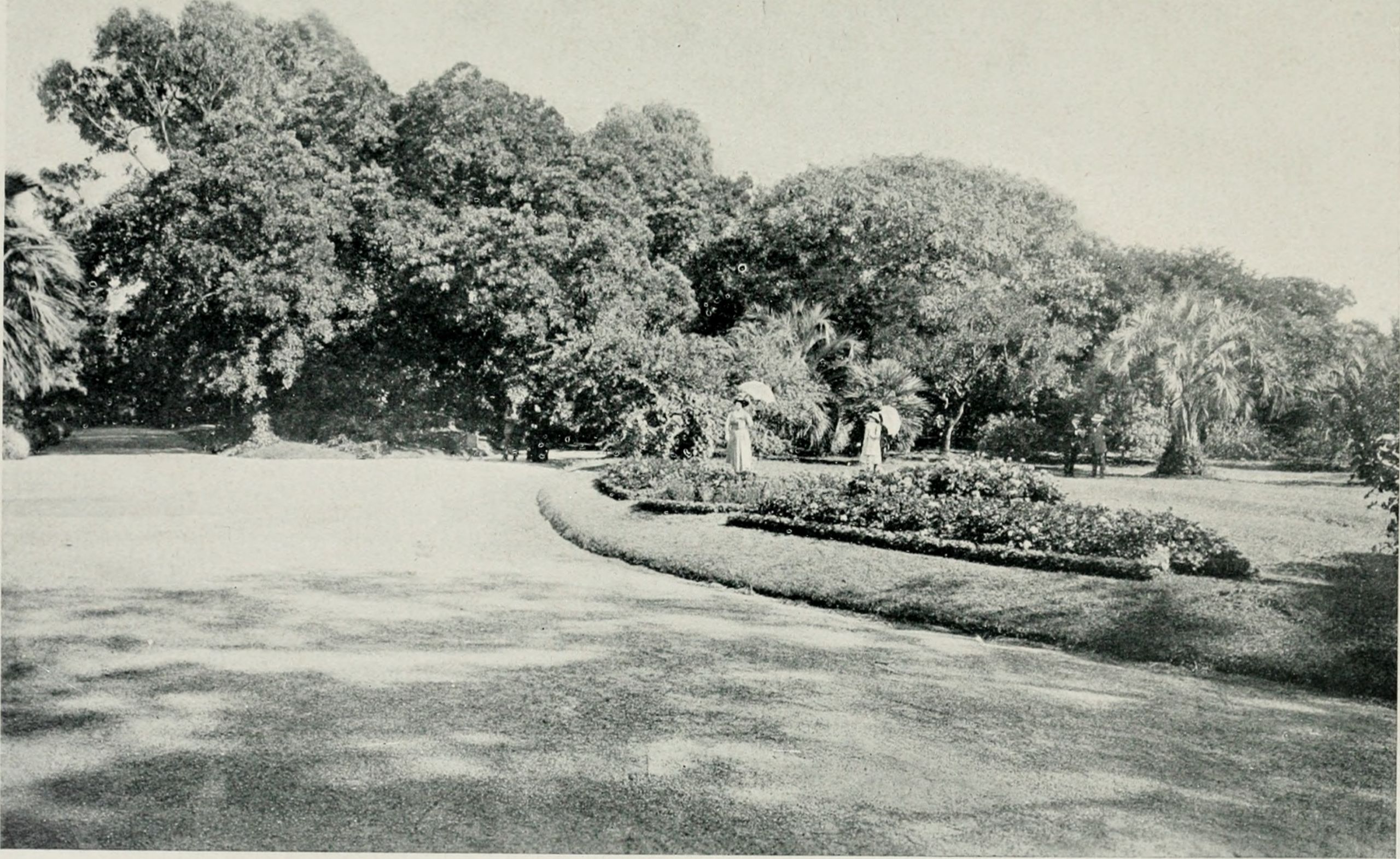 El Jardn botánico de Buenos Aires % %
