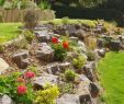 Nature Jardin Charmant How to Xeriscape Your Front Yard – Go Green Homes From "how