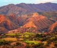 Nature Jardin Charmant Vilcabamba Travel