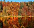 Nature Jardin Frais 14 Amazing Places to See the Autumn Leaves In Europe Lazytrips