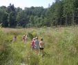 Nature Jardin Inspirant Balades Et Découvertes Nature En 2019 En F´ret D Anlier