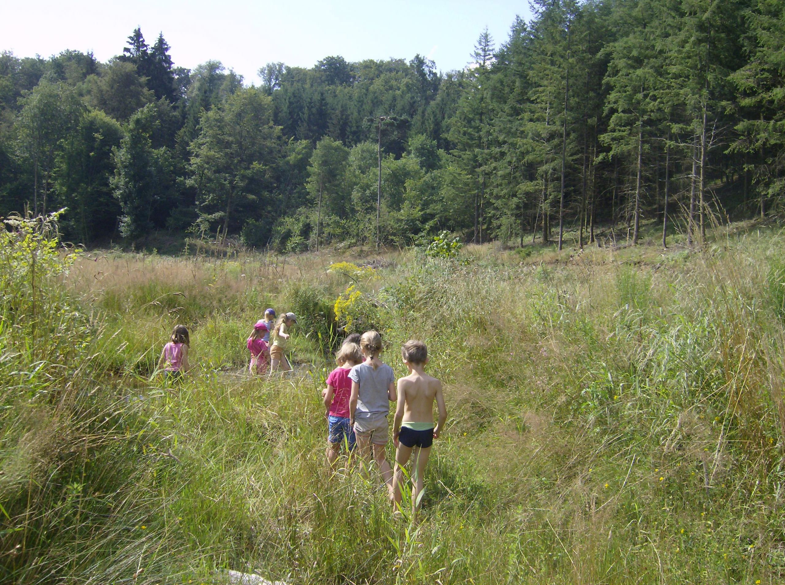 Nature Jardin Inspirant Balades Et Découvertes Nature En 2019 En F´ret D Anlier