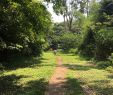 Nature Jardin Inspirant Jardin Botanique De Kisantu 2020 All You Need to Know