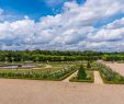 Nature Jardin Luxe the Garden Of the Grand Trianon – Versailles – tourist