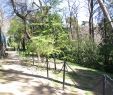 Nature Jardin Nouveau File Madrid A V U Jardin Del Campo Del Moro Panoramio