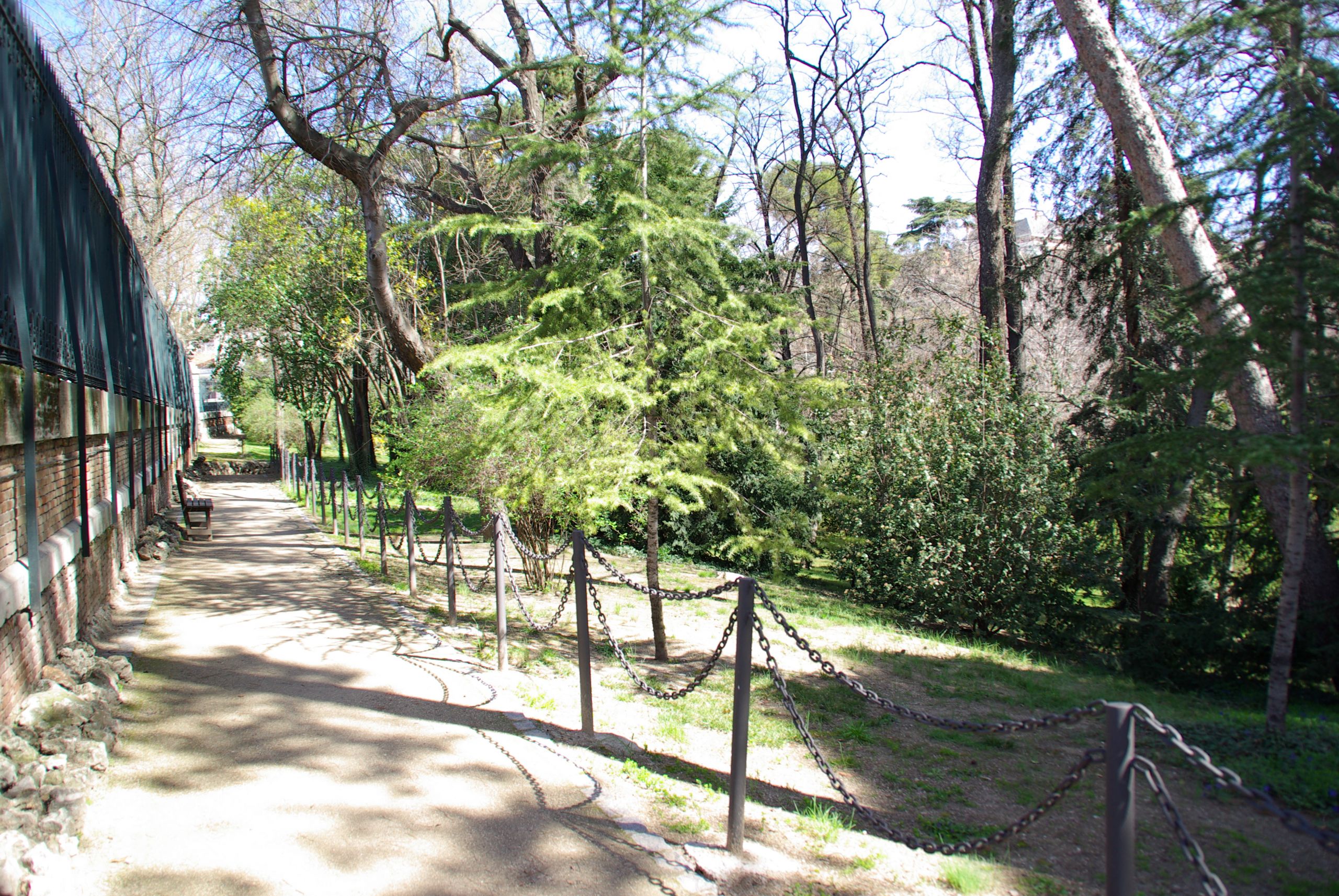 MADRID A V U JARDIN DEL CAMPO DEL MORO panoramio Concepcion AMAT ORTA… 1