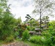 Nature Jardin Nouveau Japanese Garden On the island Of Versailles – Nantes
