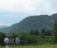 Nature Jardin Nouveau Mont Tremblant National Park