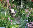 Nettoyage Jardin Beau top & Favourite Garden Decoration Ideas for House