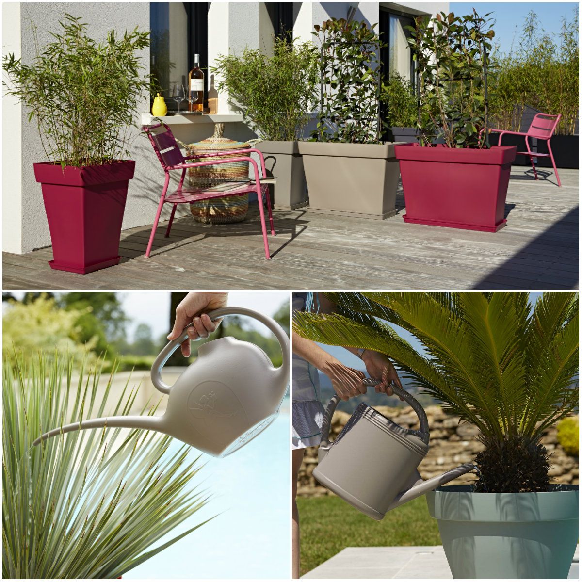 Ouverture Jardiland Luxe 82 Meilleures Images Du Tableau Conseils Jardinage