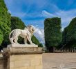 Paris Jardin Du Luxembourg Beau Paris France June 2019 the Statue Lion In the Jardin