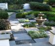 Pave Jardin Nouveau 50 top Traditional Landscaping Ideas