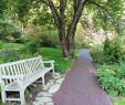 Pave Jardin Unique Porous Pave Walkways Installed at Jenkins Arboretum