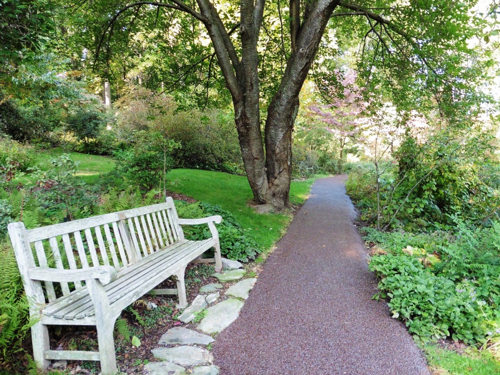 Pave Jardin Unique Porous Pave Walkways Installed at Jenkins Arboretum