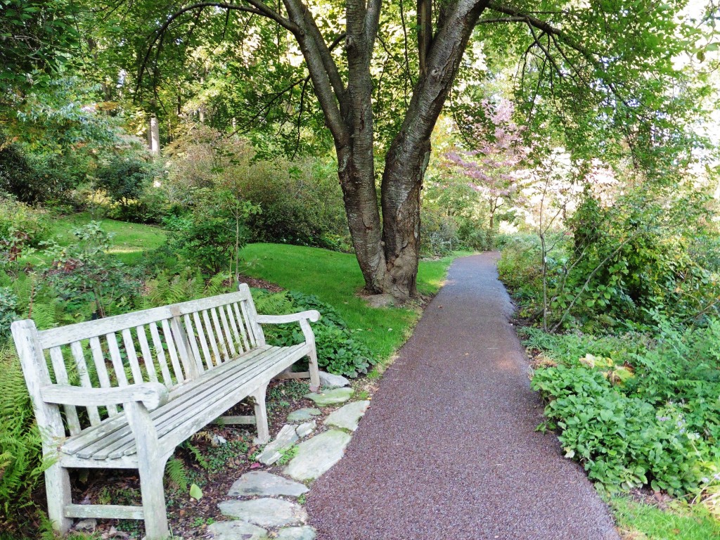 Porous Pave Jenkins Arboretum New 4