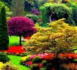 Paysage Jardin Inspirant Beau Jardin Types De Jardin