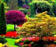 Paysage Jardin Inspirant Beau Jardin Types De Jardin