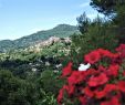 Paysage Jardin Inspirant Beauvallon Du Loup Specialty B&b Reviews tourrettes Sur