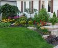 Paysager son Jardin Beau Idee Amenagement Jardin Devant Maison